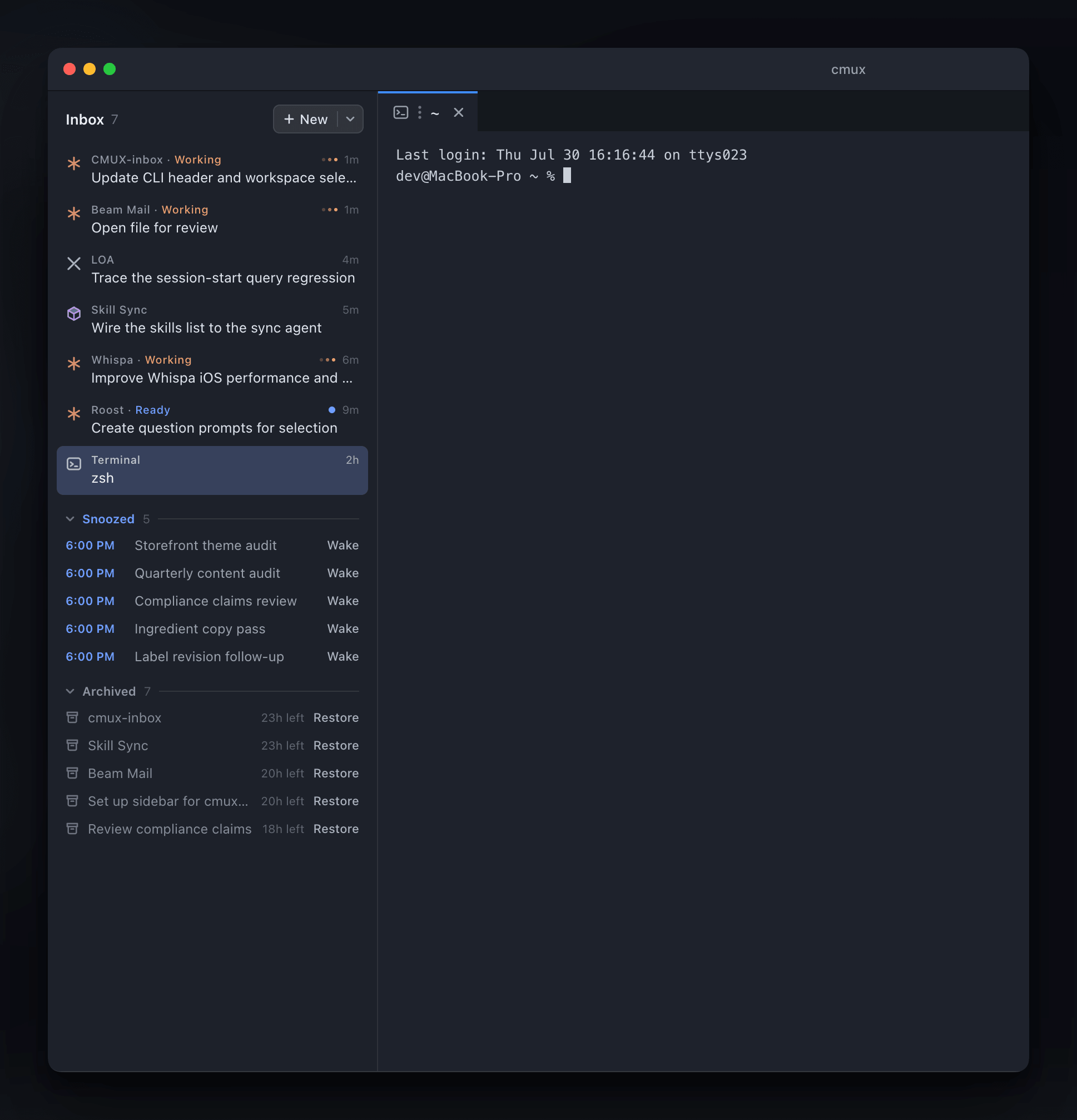 The current cmux Inbox sidebar grouping active, snoozed, and archived terminal work by project beside a live terminal.